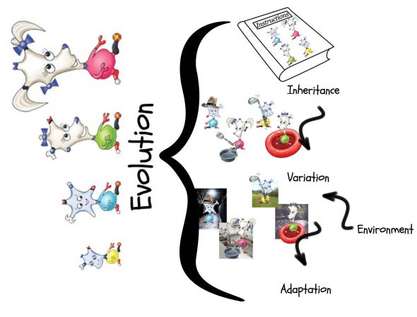 DinkyAmigos_EvolutionWorkshopHeader