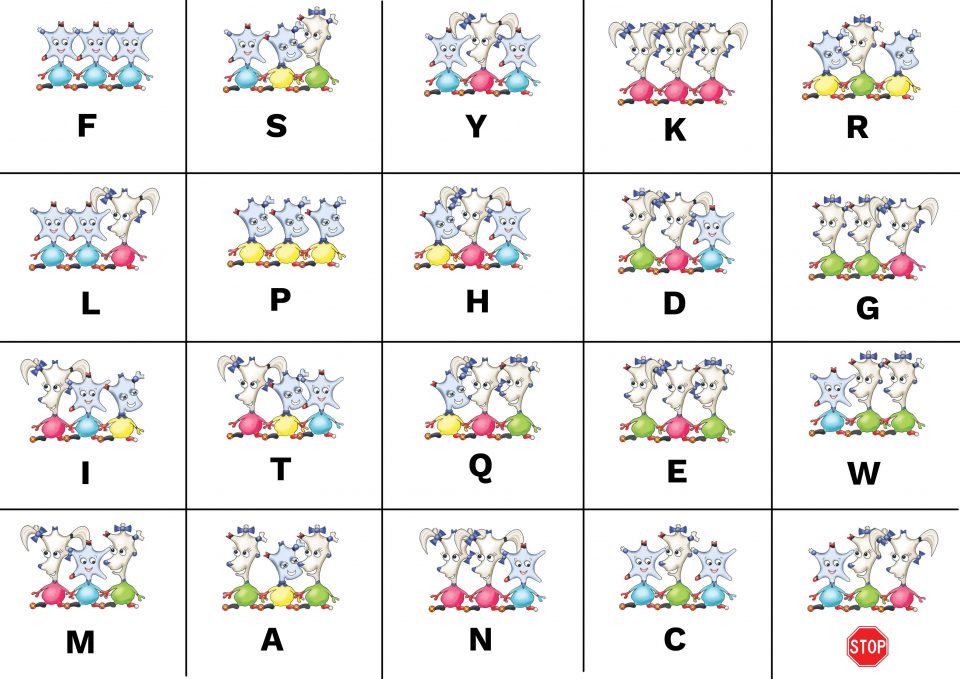 GeneticCode_RGB Dinky Amigos DNA